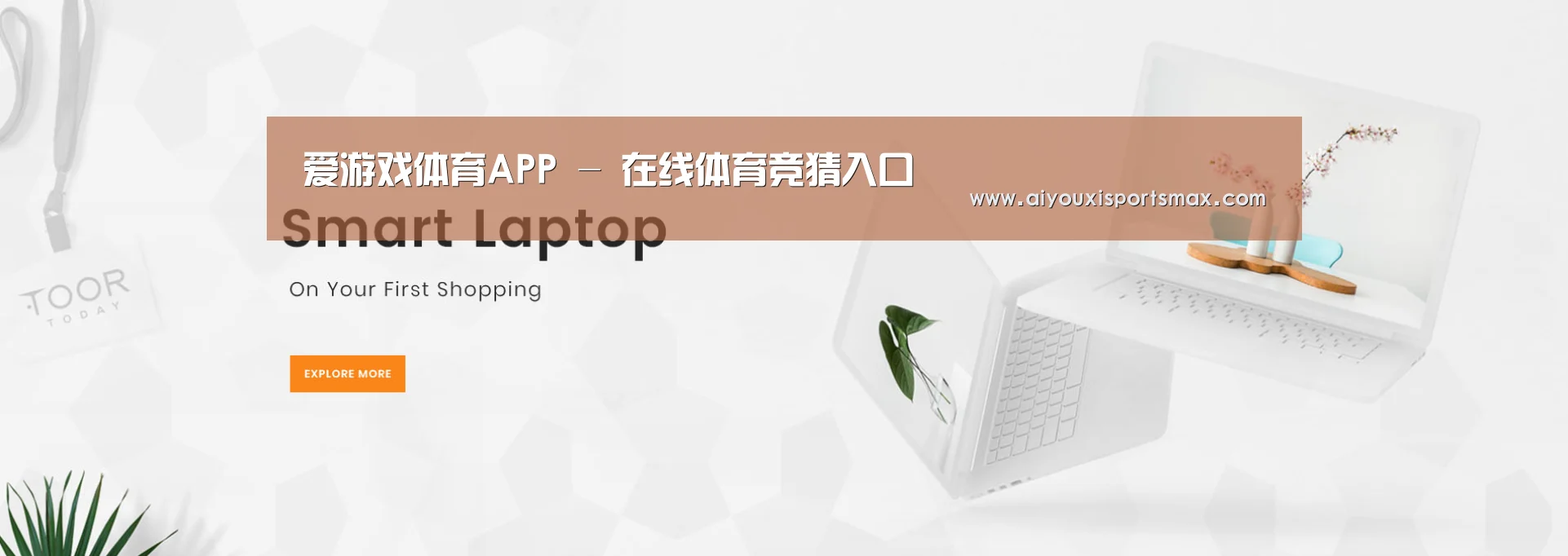 某某网络科技有限公司