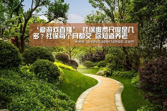 ‘爱游戏直播’
社保缴费尺度是几多?社保每个月都交 你知道养老金能领几多吗?(图3) 爱游戏赛事