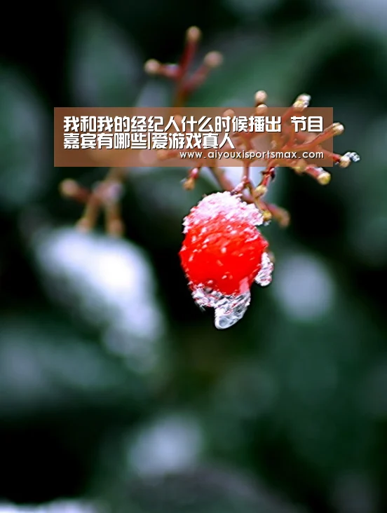 我和我的经纪人什么时候播出 节目嘉宾有哪些|爱游戏真人(图1) 爱游戏直播