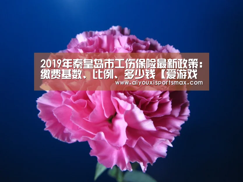 2019年秦皇岛市工伤保险最新政策:缴费基数、比例、多少钱【爱游戏赛事】(图1) 爱游戏赛事