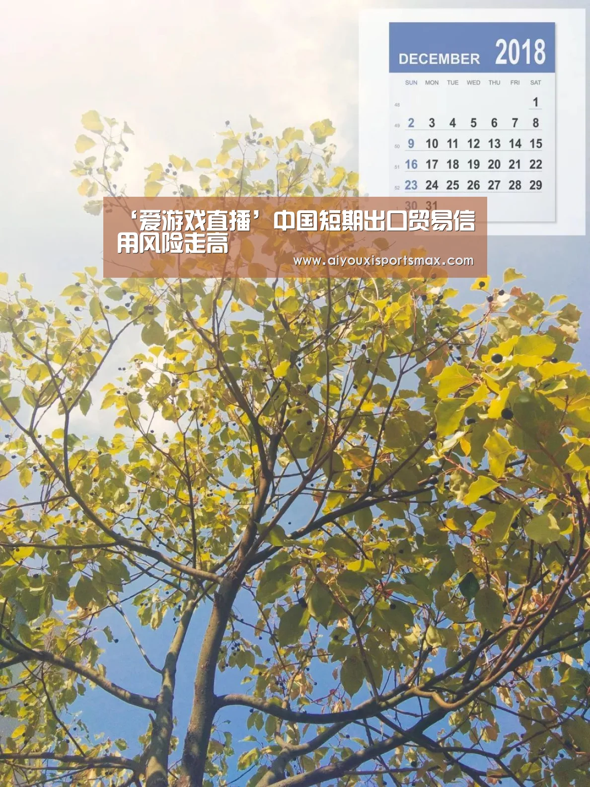 ‘爱游戏直播’中国短期出口贸易信用风险走高(图2) 爱游戏娱乐