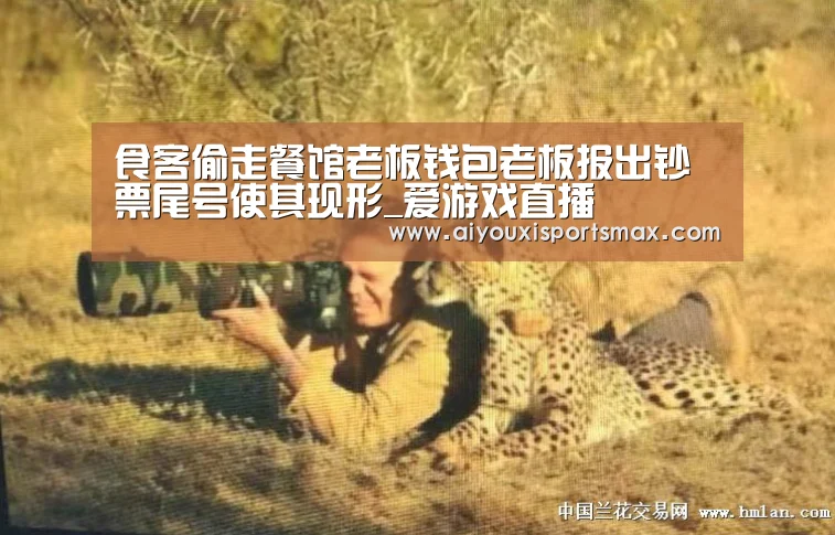爱游戏娱乐