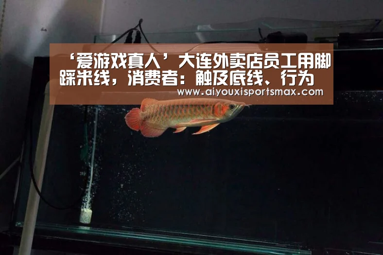 爱游戏赛事