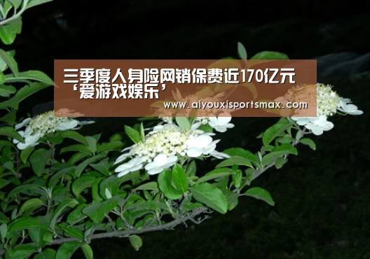 三季度人身险网销保费近170亿元‘爱游戏娱乐’(图2) 爱游戏娱乐